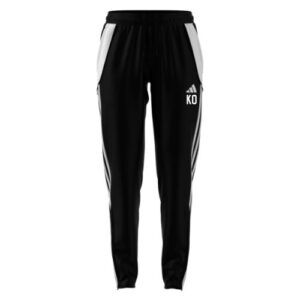 Adidas Training pants front