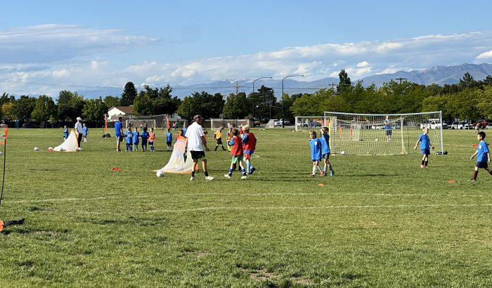 Photo of tryouts with players and soccer nets in a park